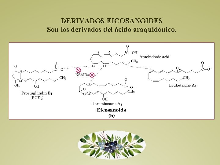 DERIVADOS EICOSANOIDES Son los derivados del ácido araquidónico. 