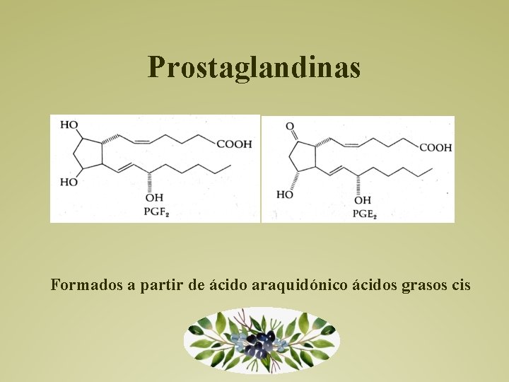 Prostaglandinas Formados a partir de ácido araquidónico ácidos grasos cis 