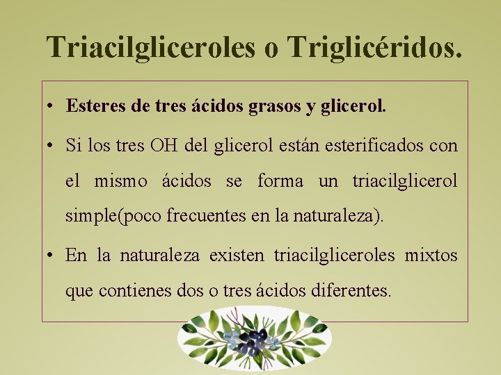 Triacilgliceroles o Triglicéridos. • Esteres de tres ácidos grasos y glicerol. • Si los