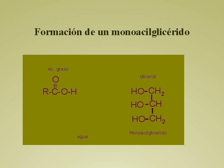 Formación de un monoacilglicérido Ac. graso Glicerol = O R-C-O-H HO CH 2 agua