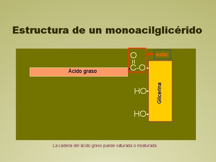 Estructura de un monoacilglicérido = éster O C-O CH 2 Glicerina Ácido graso HO