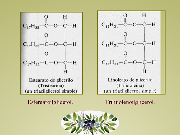 Esterearoilglicerol. Trilinolenoilglicerol. 