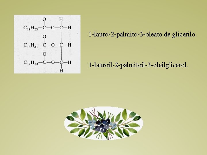 1 -lauro-2 -palmito-3 -oleato de glicerilo. 1 -lauroil-2 -palmitoil-3 -oleilglicerol. 