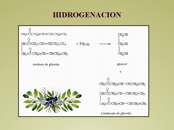 HIDROGENACION 