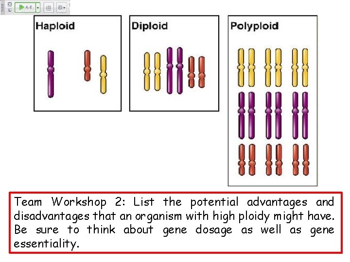 Team Workshop 2: List the potential advantages and disadvantages that an organism with high