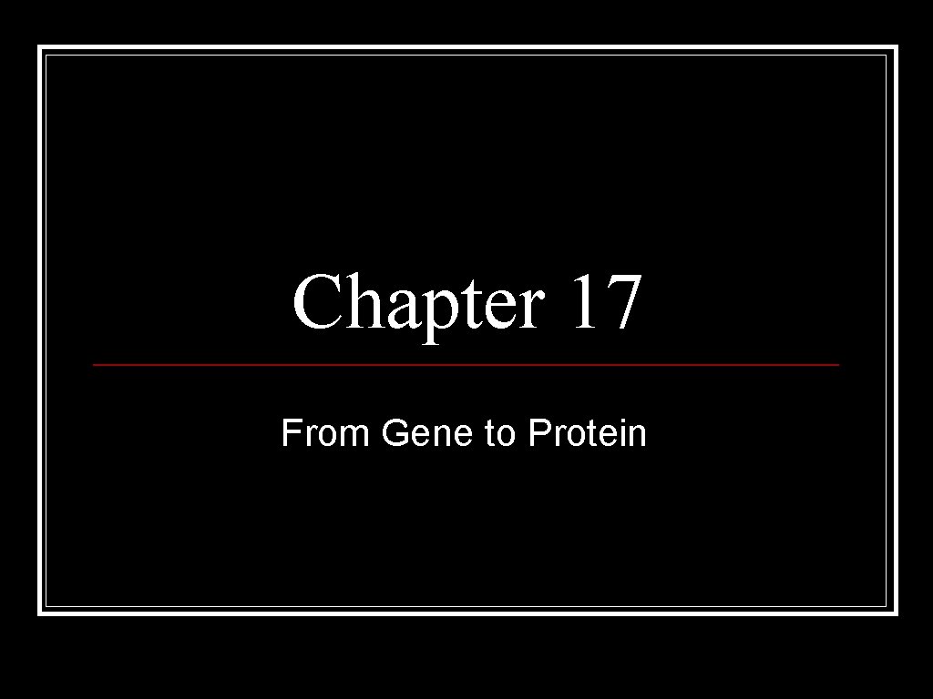 Chapter 17 From Gene to Protein 