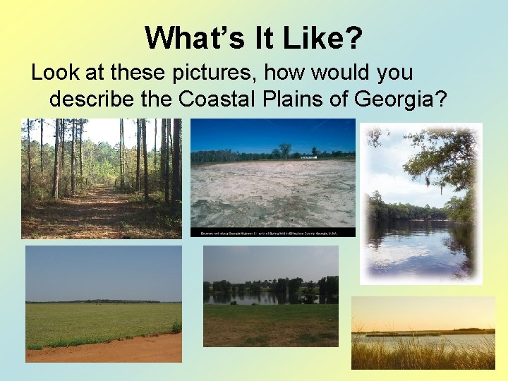 What’s It Like? Look at these pictures, how would you describe the Coastal Plains