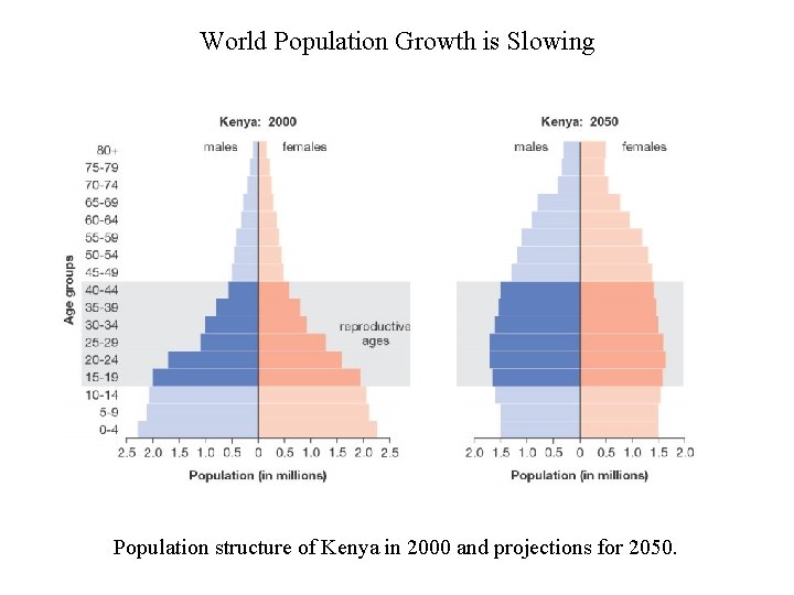 World Population Growth is Slowing Population structure of Kenya in 2000 and projections for