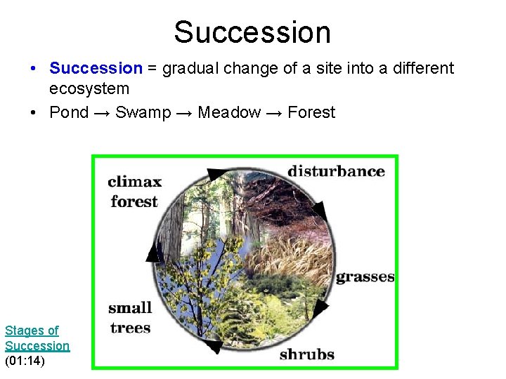 Succession • Succession = gradual change of a site into a different ecosystem •