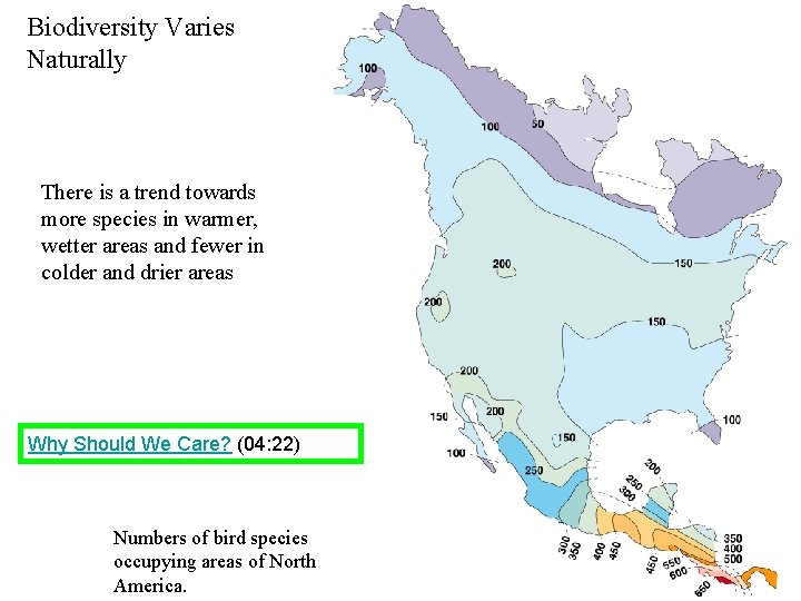 Biodiversity Varies Naturally There is a trend towards more species in warmer, wetter areas