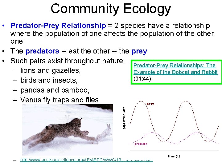 Community Ecology • Predator-Prey Relationship = 2 species have a relationship where the population
