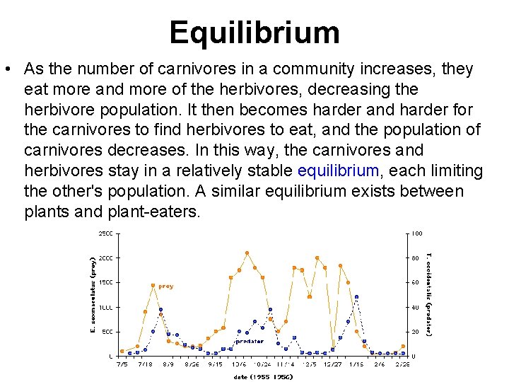 Equilibrium • As the number of carnivores in a community increases, they eat more