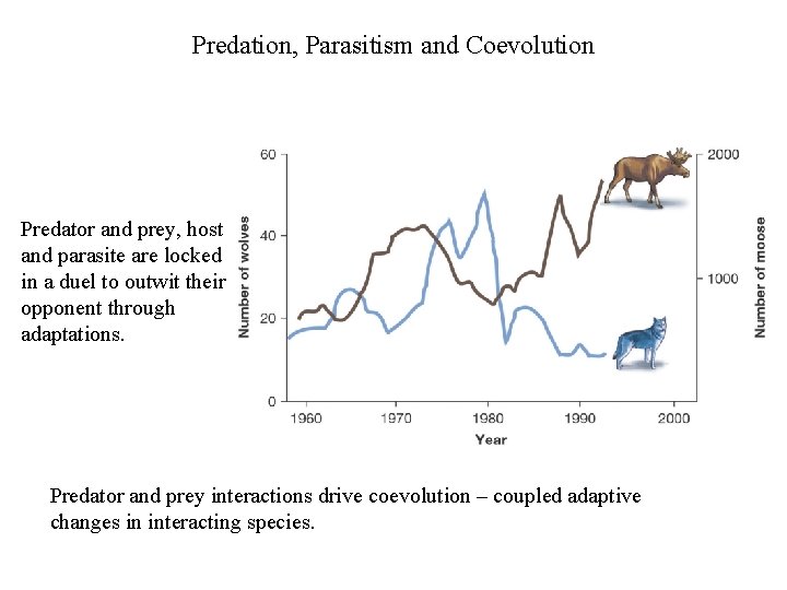 Predation, Parasitism and Coevolution Predation (consuming another organism) and parasitism (feeding upon a host