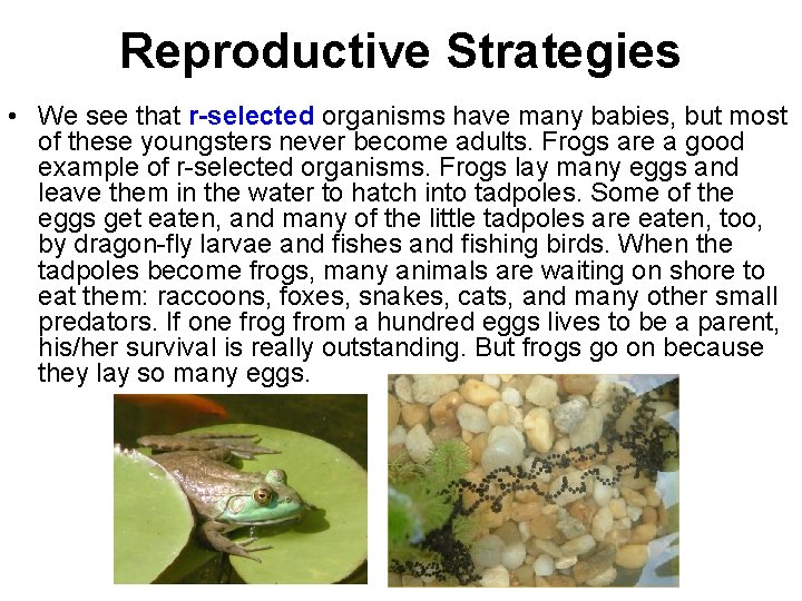 Reproductive Strategies • We see that r-selected organisms have many babies, but most of