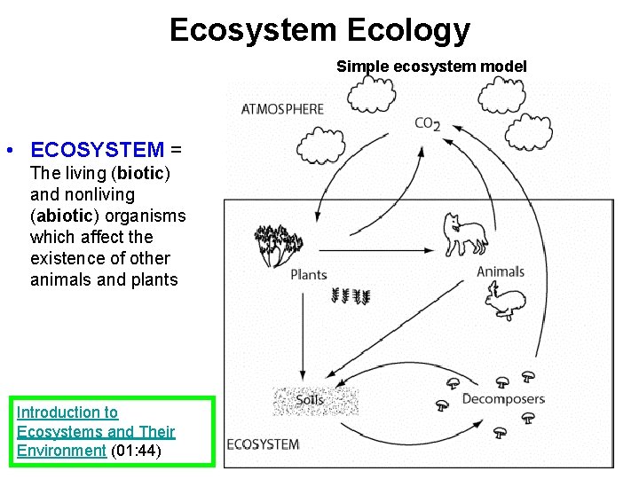 Ecosystem Ecology Simple ecosystem model • ECOSYSTEM = The living (biotic) and nonliving (abiotic)