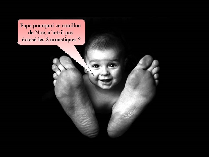 Papa pourquoi ce couillon de Noé, n’a-t-il pas écrasé les 2 moustiques ? 