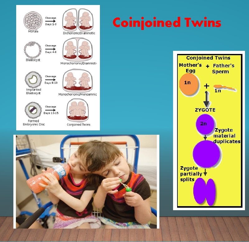 Coinjoined Twins 