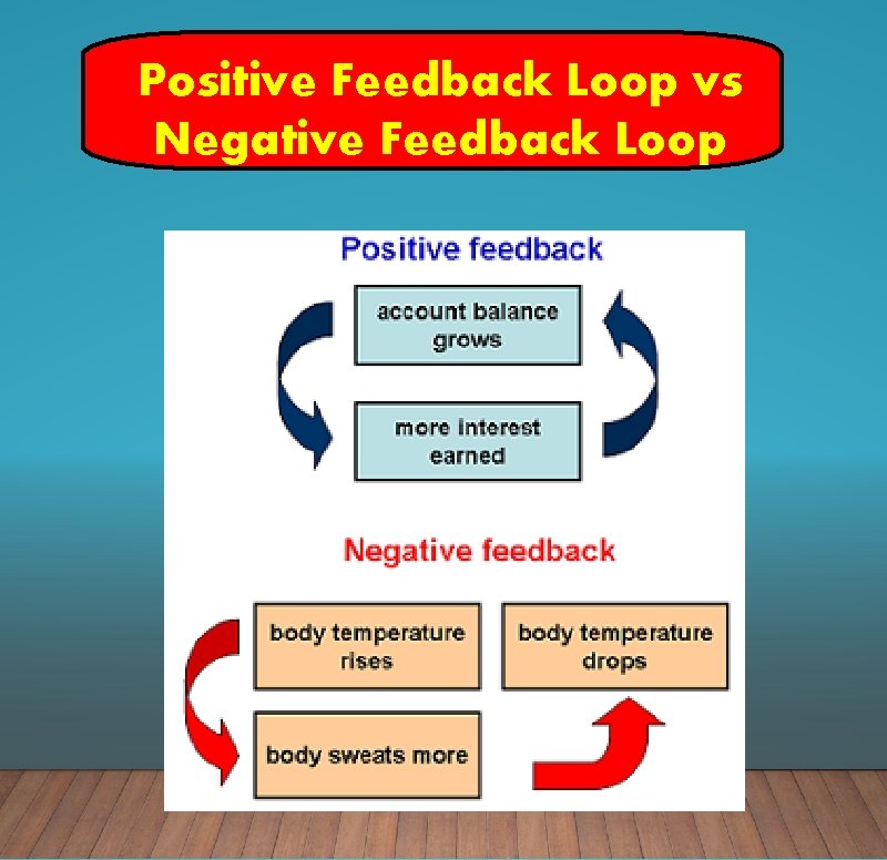 Positive Feedback Loop vs Negative Feedback Loop 