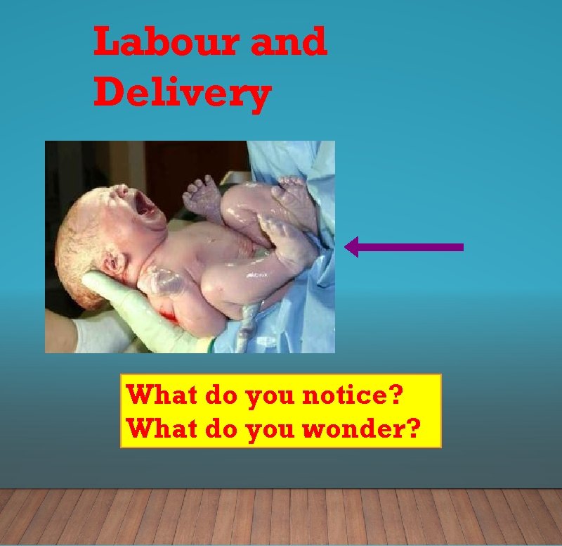 Labour and Delivery What do you notice? What do you wonder? 