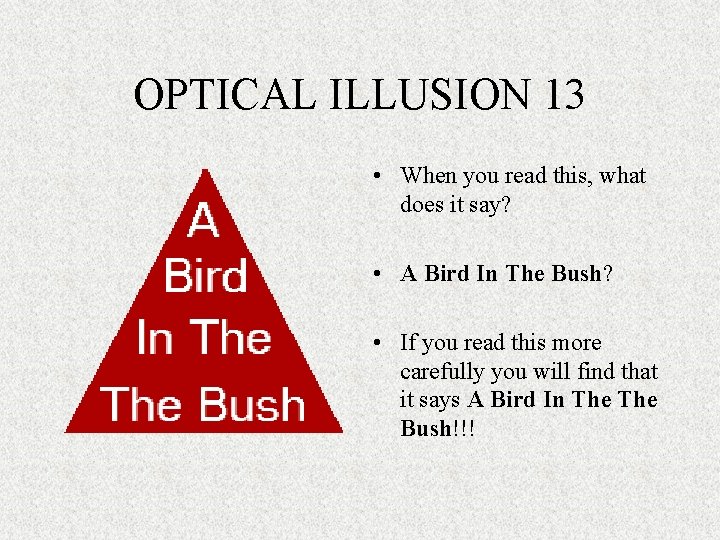 OPTICAL ILLUSION 13 • When you read this, what does it say? • A