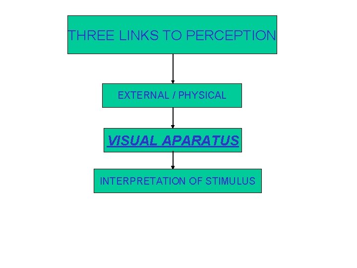 THREE LINKS TO PERCEPTION EXTERNAL / PHYSICAL VISUAL APARATUS INTERPRETATION OF STIMULUS 