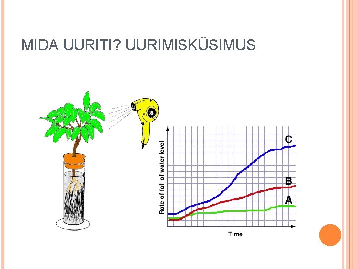 MIDA UURITI? UURIMISKÜSIMUS 