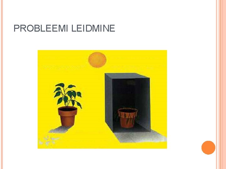 PROBLEEMI LEIDMINE 