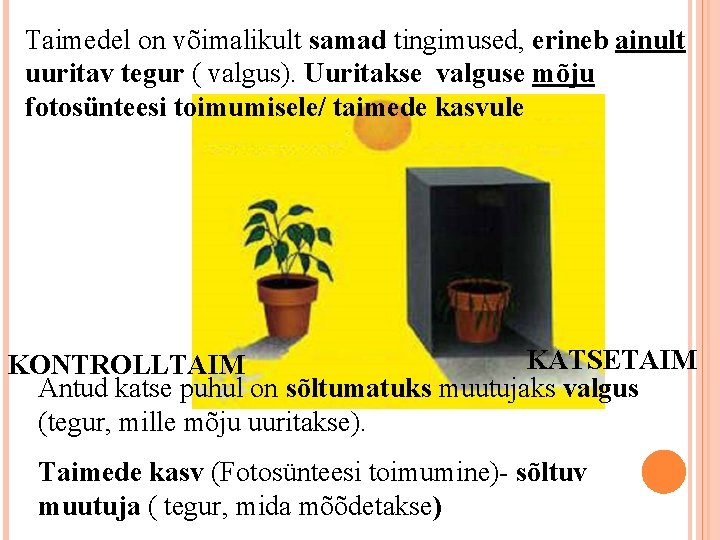 Taimedel on võimalikult samad tingimused, erineb ainult uuritav tegur ( valgus). Uuritakse valguse mõju