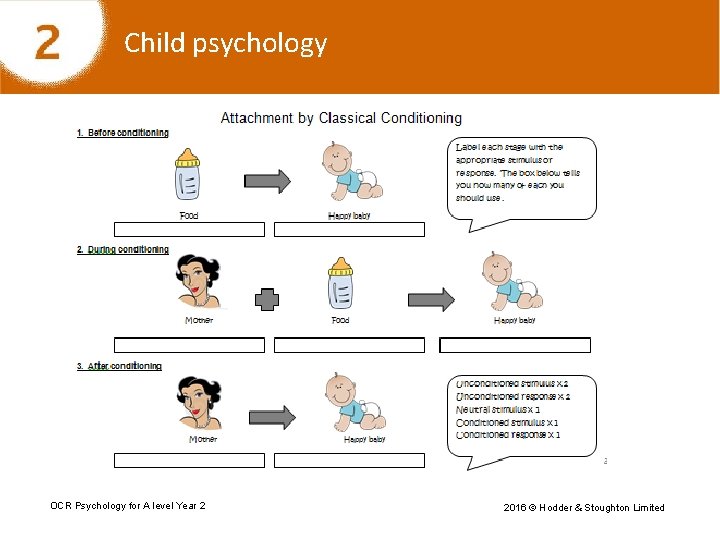 Child psychology OCR Psychology for A level Year 2 2016 © Hodder & Stoughton