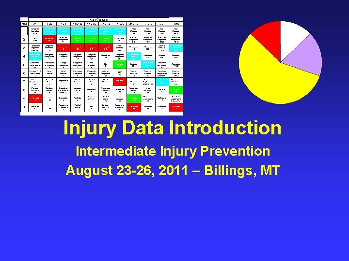 Injury Data Introduction Intermediate Injury Prevention August 23 -26, 2011 – Billings, MT 