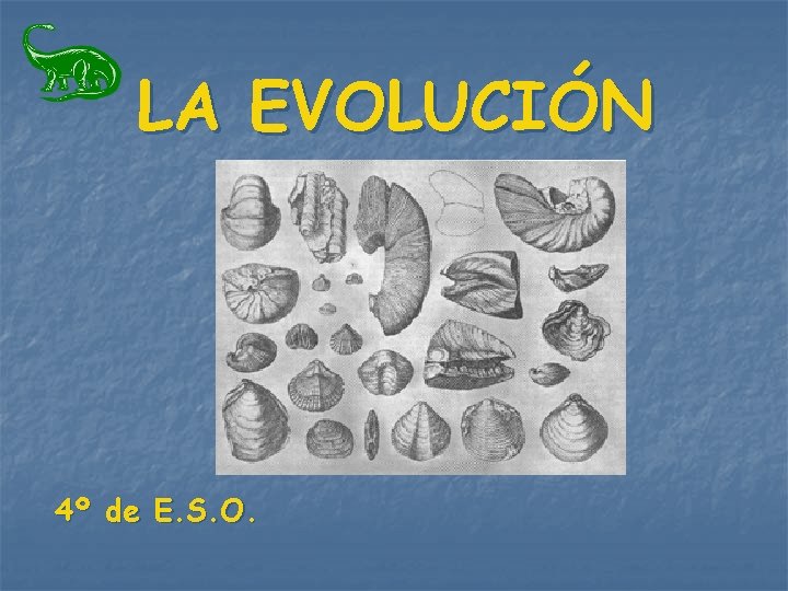 LA EVOLUCIÓN 4º de E. S. O. LA EVOLUCIÓN 4º de E. S. O.