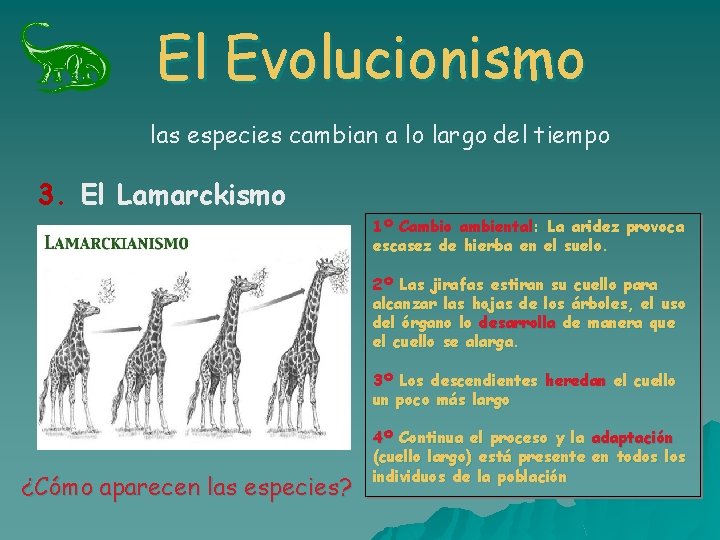 El Evolucionismo las especies cambian a lo largo del tiempo 3. El Lamarckismo 1º El Evolucionismo las especies cambian a lo largo del tiempo 3. El Lamarckismo 1º