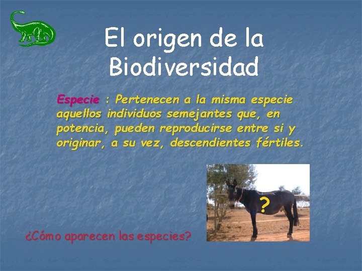 El origen de la Biodiversidad Especie : Pertenecen a la misma especie aquellos individuos El origen de la Biodiversidad Especie : Pertenecen a la misma especie aquellos individuos