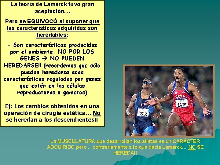 La teoría de Lamarck tuvo gran aceptación… Pero se EQUIVOCÓ al suponer que las La teoría de Lamarck tuvo gran aceptación… Pero se EQUIVOCÓ al suponer que las