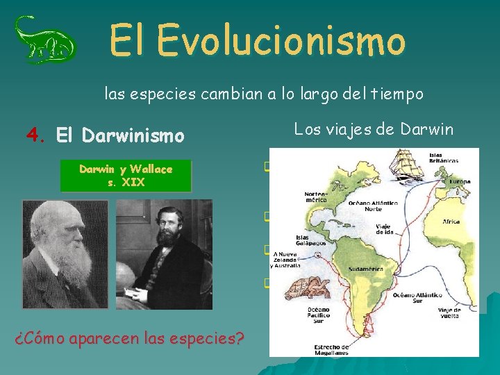 El Evolucionismo las especies cambian a lo largo del tiempo 4. El Darwinismo Darwin El Evolucionismo las especies cambian a lo largo del tiempo 4. El Darwinismo Darwin