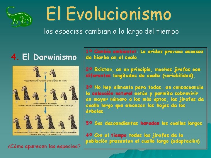 El Evolucionismo las especies cambian a lo largo del tiempo 4. El Darwinismo 1º El Evolucionismo las especies cambian a lo largo del tiempo 4. El Darwinismo 1º
