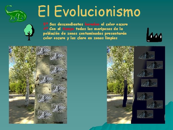 El Evolucionismo 5º Sus descendientes heredan el color oscuro 4º Con el tiempo todas El Evolucionismo 5º Sus descendientes heredan el color oscuro 4º Con el tiempo todas