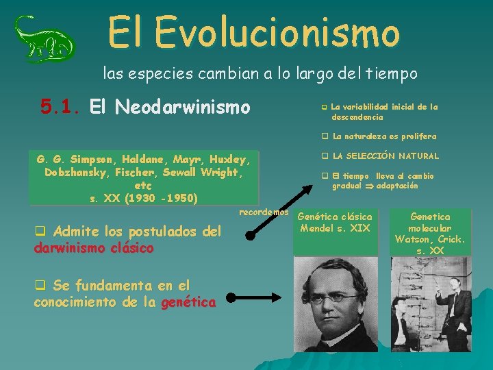 El Evolucionismo las especies cambian a lo largo del tiempo 5. 1. El Neodarwinismo El Evolucionismo las especies cambian a lo largo del tiempo 5. 1. El Neodarwinismo