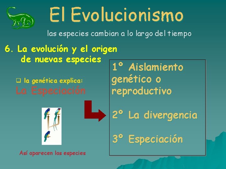 El Evolucionismo las especies cambian a lo largo del tiempo 6. La evolución y El Evolucionismo las especies cambian a lo largo del tiempo 6. La evolución y