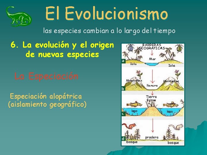 El Evolucionismo las especies cambian a lo largo del tiempo 6. La evolución y El Evolucionismo las especies cambian a lo largo del tiempo 6. La evolución y