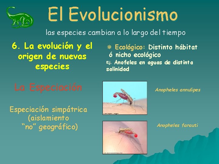 El Evolucionismo las especies cambian a lo largo del tiempo 6. La evolución y El Evolucionismo las especies cambian a lo largo del tiempo 6. La evolución y