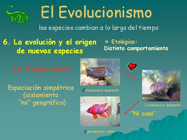 El Evolucionismo las especies cambian a lo largo del tiempo 6. La evolución y El Evolucionismo las especies cambian a lo largo del tiempo 6. La evolución y