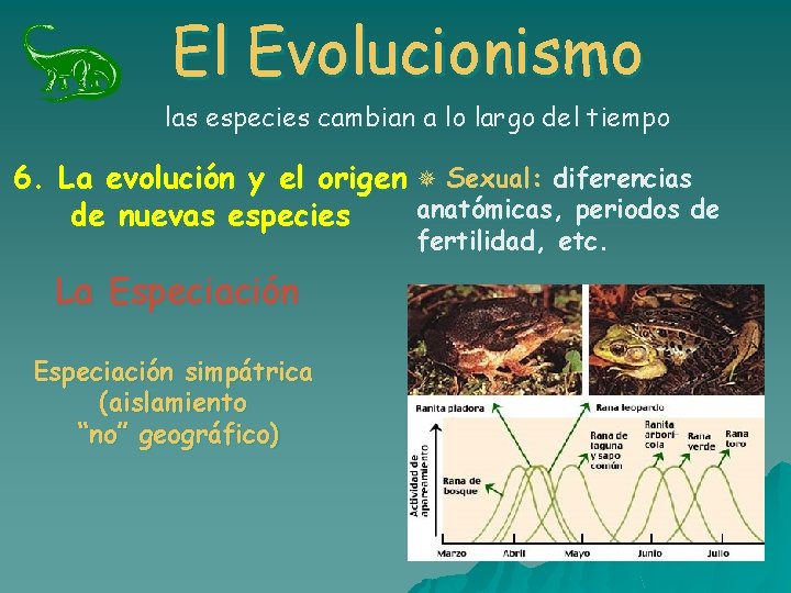 El Evolucionismo las especies cambian a lo largo del tiempo 6. La evolución y El Evolucionismo las especies cambian a lo largo del tiempo 6. La evolución y