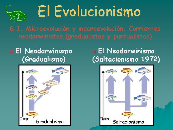 El Evolucionismo 6. 1. Microevolución y macroevolución. Corrientes neodarwinistas (gradualistas y puntualistas) q El El Evolucionismo 6. 1. Microevolución y macroevolución. Corrientes neodarwinistas (gradualistas y puntualistas) q El