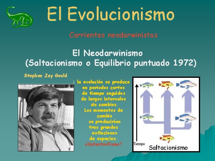 El Evolucionismo Corrientes neodarwinistas El Neodarwinismo (Saltacionismo o Equilibrio puntuado 1972) Stephen Jay Gould El Evolucionismo Corrientes neodarwinistas El Neodarwinismo (Saltacionismo o Equilibrio puntuado 1972) Stephen Jay Gould