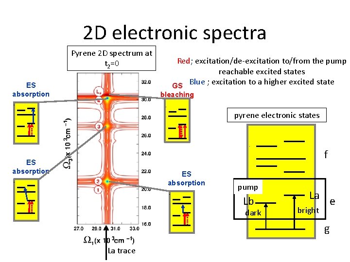 2 D electronic spectra Pyrene 2 D spectrum at t 2=0 ES absorption Red;