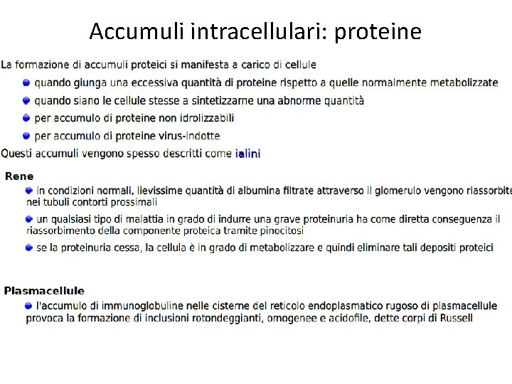 Accumuli intracellulari: proteine 