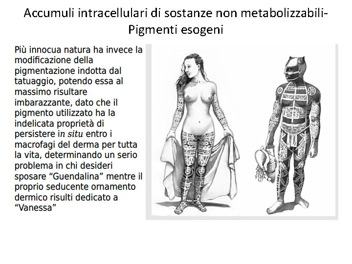 Accumuli intracellulari di sostanze non metabolizzabili. Pigmenti esogeni 