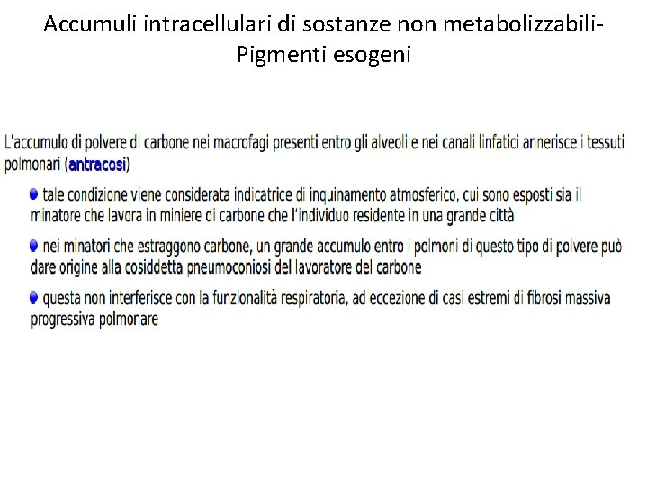 Accumuli intracellulari di sostanze non metabolizzabili. Pigmenti esogeni 