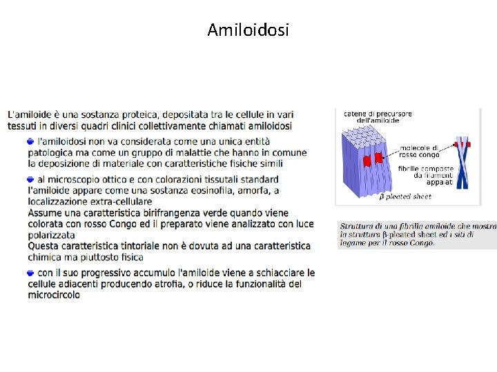 Amiloidosi 